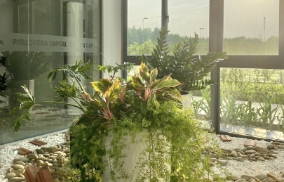 Nắng lên rồi! Ecogarden